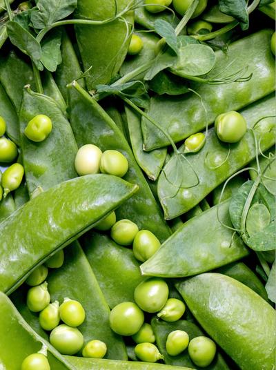 Vitamin B6 and B12